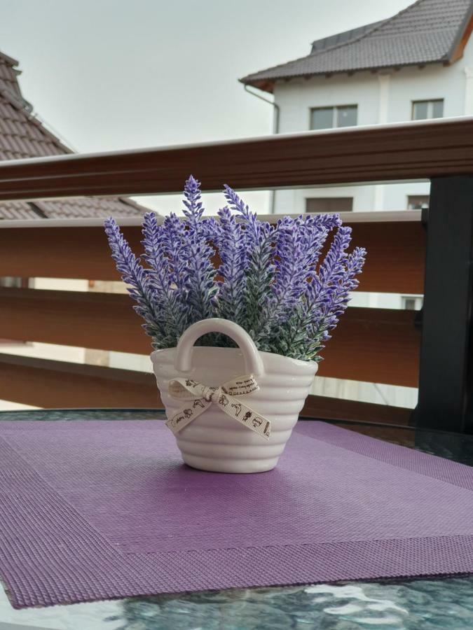 Zlatibor Hills Lara Aparthotel Εξωτερικό φωτογραφία