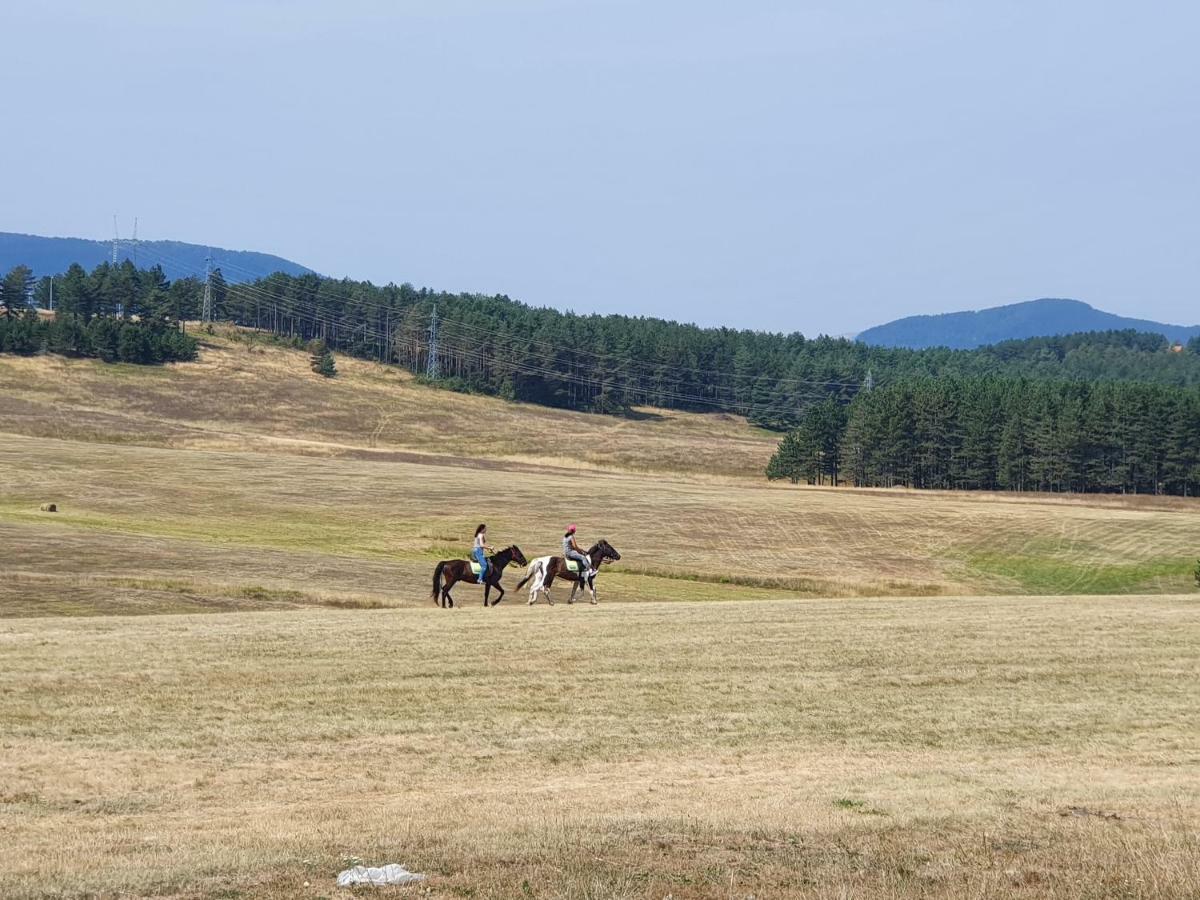 Zlatibor Hills Lara Aparthotel Εξωτερικό φωτογραφία